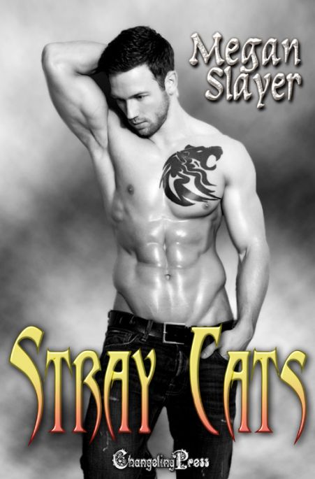 Stray Cats (Stray Cats 5)