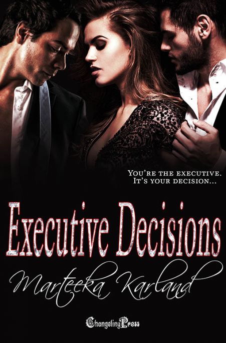 Executive Decisions (Print) (Executive Decisions 6)