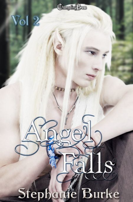 Angel Falls Vol. 2 (Print) (Angel Falls 4)