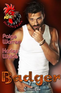 Badger (A Devil's Fury MC Romance) (Roosters 5)
