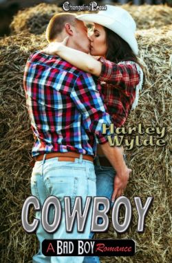 Cowboy (A Bad Boy Romance 4)
