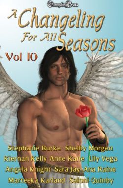 A Changeling For All Seasons 10 (Changeling Seasons (ebook) 10)