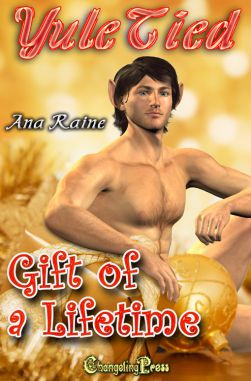 Gift of a Lifetime (Yule Tied 3)