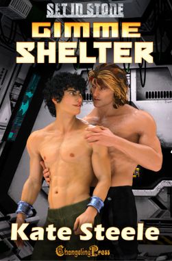 Gimme Shelter (Set In Stone Multi-Author 8)
