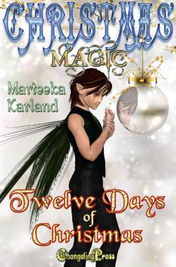 Twelve Days of Christmas (Christmas Magic 5)