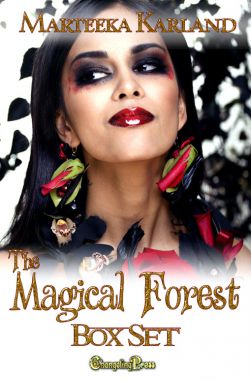 The Magical Forest (Box Set) (The Magical Forest 4)